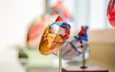 The Signs and Symptoms of AFib